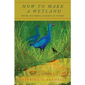 How to Make a Wetland: Water and Moral Ecology in Turkey, Paperback - Caterina Scaramelli imagine