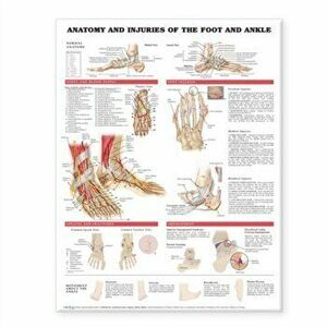 Anatomy and Injuries of the Foot and Ankle - *** imagine