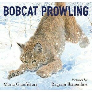Bobcat Prowling, Hardback - Maria Gianferrari imagine