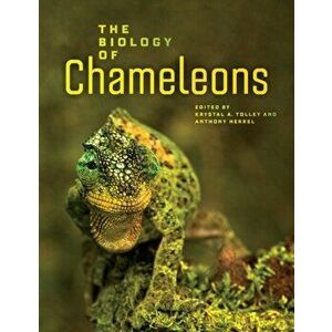 The Biology of Chameleons, Hardback - *** imagine