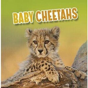 Baby Cheetahs, Hardback - Martha E. H. Rustad imagine