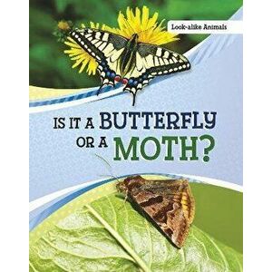 Is It a Butterfly or a Moth?, Hardback - Susan B. Katz imagine