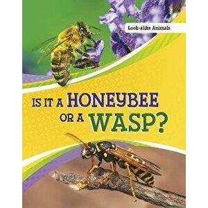 Is It a Honeybee or a Wasp?, Hardback - Susan B. Katz imagine