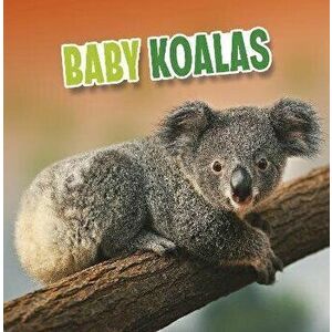 Baby Koalas, Hardback - Martha E. H. Rustad imagine