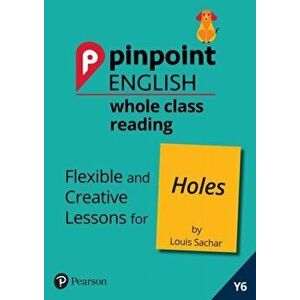 Pinpoint English Whole Class Reading Y6: Holes. Flexible and Creative Lessons for Holes (by Louis Sachar), Spiral Bound - Rachel Axten-Higgs imagine
