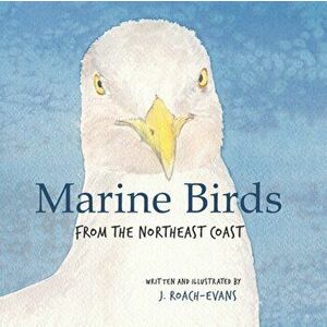 Marine Birds: from the Northeast Coast, Paperback - Erin Oliveira imagine