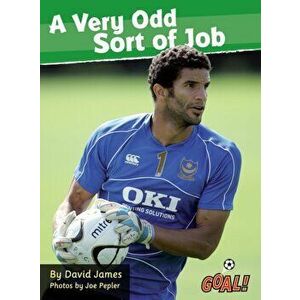Very Odd Sort of Job. Level 4, Paperback - David James imagine