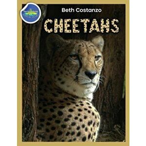 Cheetah Activity Workbook ages 4-8, Paperback - Beth Costanzo imagine