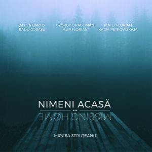 Nimeni Acasa. Missing Home - Mircea Struteanu imagine