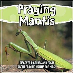 Praying Mantis: Discover Pictures and Facts About Praying Mantis For Kids!, Paperback - Bold Kids imagine