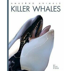 Killer Whales, Paperback - Kate Riggs imagine