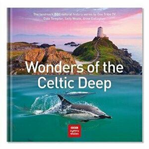 Wonders of the Celtic Deep, Hardback - Anne Gallagher imagine