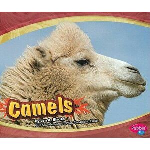 Camels, Paperback - Lyn A. Sirota imagine