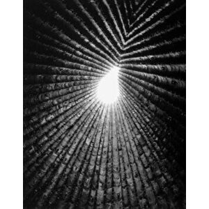 Light Lines. The Architectural Photographs of Helene Binet, Hardback - Vicky Richardson imagine