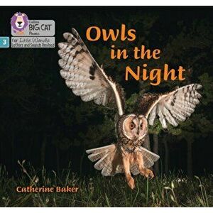 Owls in the Night. Phase 3, Paperback - Catherine Baker imagine