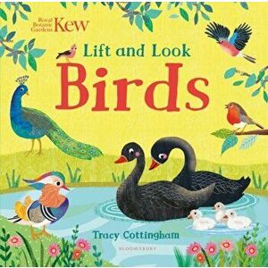 Kew: Lift and Look Birds, Board book - *** imagine