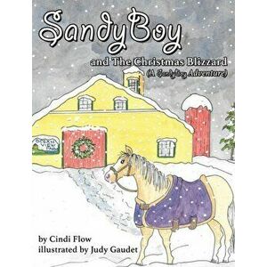 SandyBoy and the Christmas Blizzard (A SandyBoy Adventure), Hardcover - Cindi Flow imagine