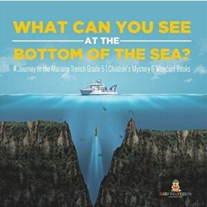 What Can You See in the Bottom of the Sea? A Journey to the Mariana Trench Grade 5 Children's Mystery & Wonders Books - *** imagine