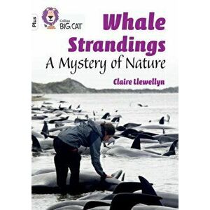 Whale Strandings: A Mystery of Nature. Band 10+/White Plus, Paperback - Claire Llewellyn imagine