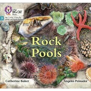 Rock Pools. Phase 3, Paperback - Catherine Baker imagine
