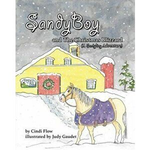SandyBoy and the Christmas Blizzard (A SandyBoy Adventure), Paperback - Cindi Flow imagine