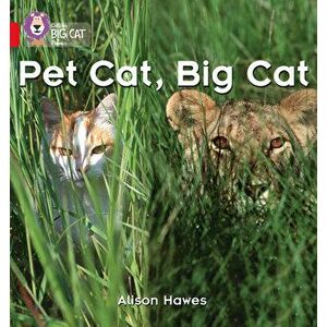 Pet Cat, Big Cat, Paperback - Alison Hawes imagine