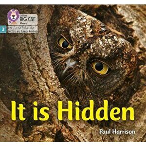 It is Hidden. Phase 3, Paperback - Paul Harrison imagine