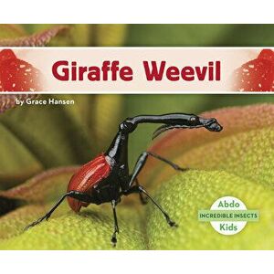 Giraffe Weevil, Paperback - Grace Hansen imagine