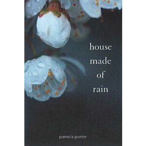 House Made of Rain, Paperback - Pamela Porter imagine