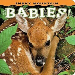 Smoky Mountain Babies!, Board book - Ann Simpson imagine