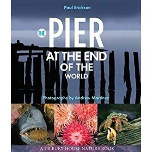 The Pier at the End of the World, Paperback - Paul Erickson imagine