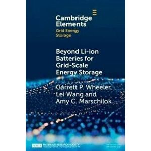 Beyond Li-ion Batteries for Grid-Scale Energy Storage, Paperback - Amy C. Marschilok imagine