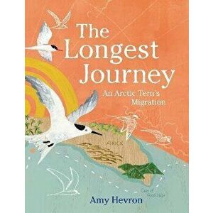 The Longest Journey. An Arctic Tern's Migration, Hardback - Amy Hevron imagine