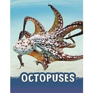 Octopuses, Hardback - Jaclyn Jaycox imagine