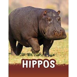 Hippos, Hardback - Jaclyn Jaycox imagine