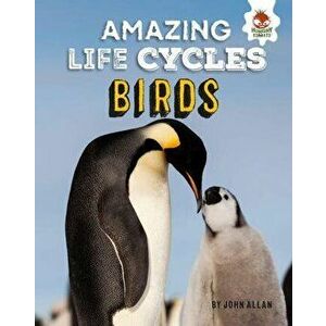 Birds - Amazing Life Cycles, Hardback - John Allan imagine