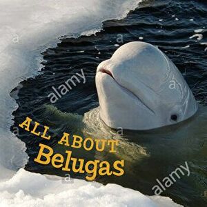 All about Belugas. English Edition, English Edition, Paperback - Jordan Hoffman imagine