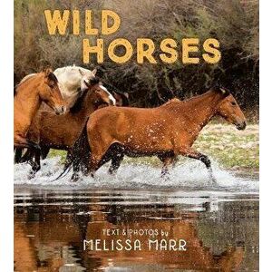 Wild Horses, Hardback - Melissa Marr imagine