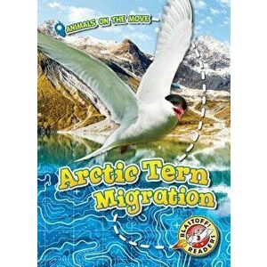 Arctic Tern Migration, Hardback - Kari Schuetz imagine
