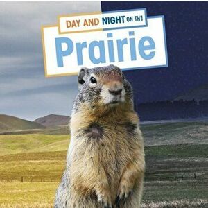 Day and Night on the Prairie, Hardback - Ellen Labrecque imagine