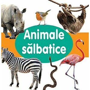 Animale salbatice - *** imagine