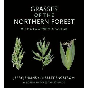 Grasses of the Northern Forest. A Photographic Guide, Paperback - Brett Engstrom imagine