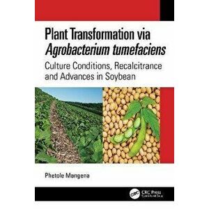 Plant Transformation via Agrobacterium Tumefaciens. Culture Conditions, Recalcitrance and Advances in Soybean, Paperback - Phetole Mangena imagine