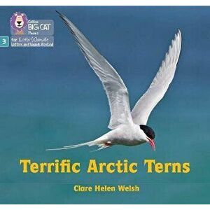 Terrific Arctic Terns. Phase 3 Set 2, Paperback - Clare Helen Welsh imagine