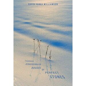 Through Disassembled Houses of Perfect Stones, Paperback - David Williamson imagine
