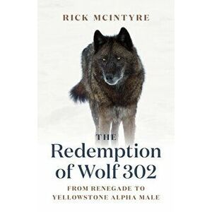 The Redemption of Wolf 302: From Renegade to Yellowstone Alpha Male, Hardcover - Rick McIntyre imagine