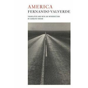 America, Paperback - Fernando Valverde imagine