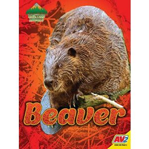 Beaver, Library Binding - Blaine Wiseman imagine