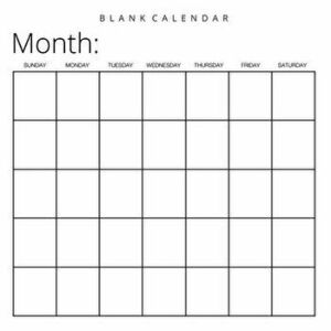 Blank Calendar: White Background, Undated Planner for Organizing, Tasks, Goals, Scheduling, DIY Calendar Book, Paperback - *** imagine