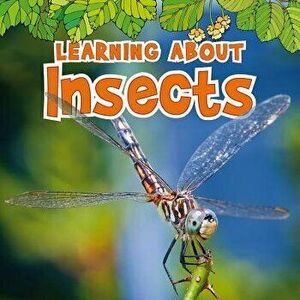 Learning about Insects, Paperback - Catherine Veitch imagine